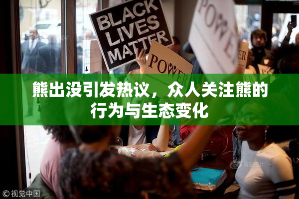 熊出没引发热议，众人关注熊的行为与生态变化