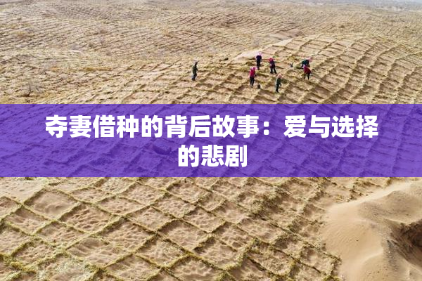 夺妻借种的背后故事：爱与选择的悲剧