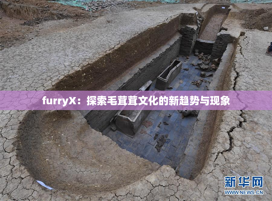 furryX：探索毛茸茸文化的新趋势与现象