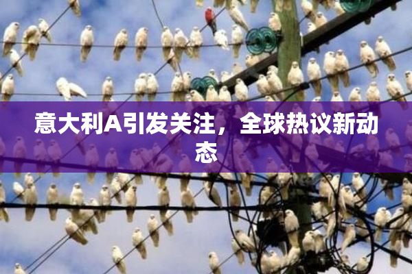 意大利A引发关注，全球热议新动态