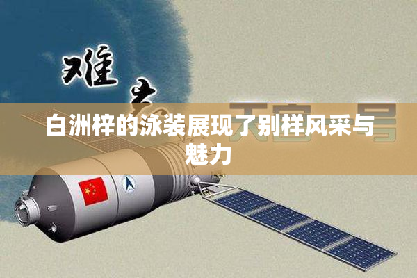 白洲梓的泳装展现了别样风采与魅力