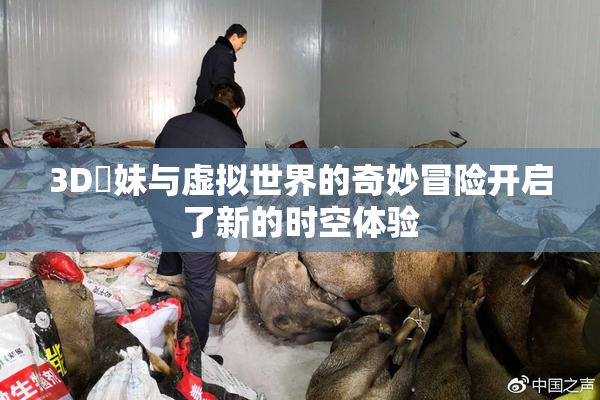 3D姉妹与虚拟世界的奇妙冒险开启了新的时空体验
