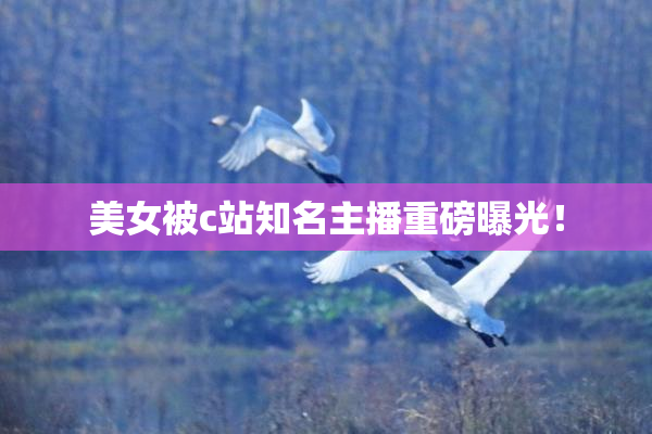 美女被c站知名主播重磅曝光！