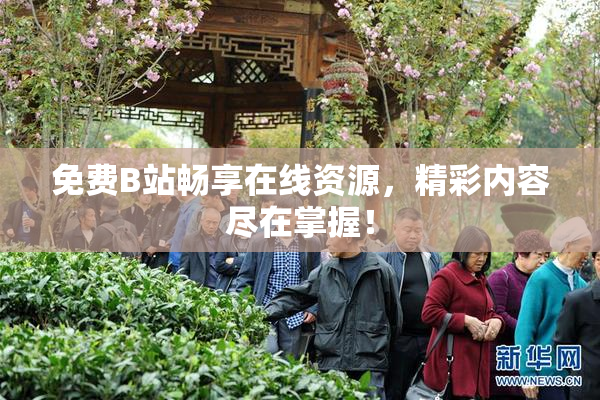 免费B站畅享在线资源，精彩内容尽在掌握！