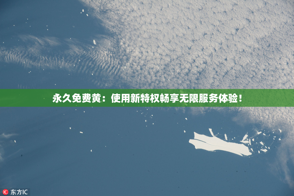 永久免费黄：使用新特权畅享无限服务体验！