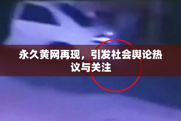 永久黄网再现，引发社会舆论热议与关注