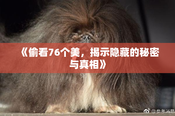 《偷看76个美，揭示隐藏的秘密与真相》