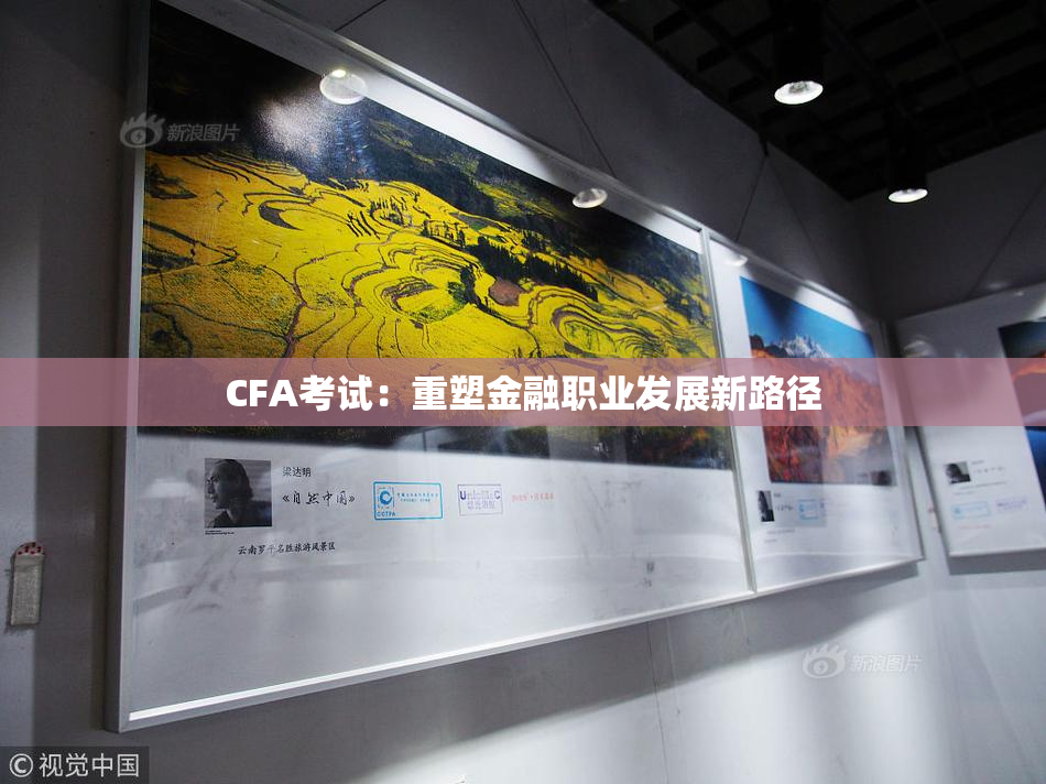 CFA考试：重塑金融职业发展新路径