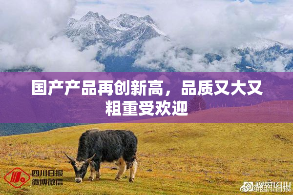 国产产品再创新高，品质又大又粗重受欢迎