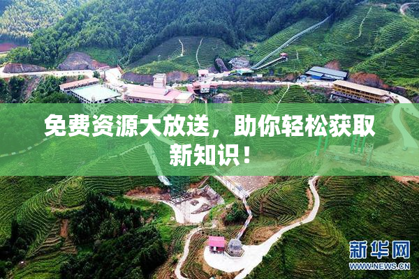 免费资源大放送，助你轻松获取新知识！