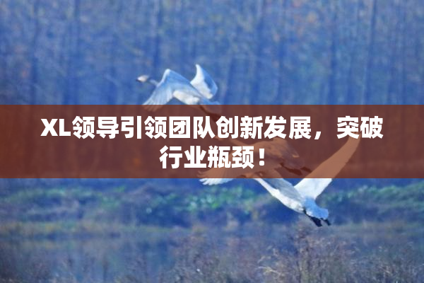 XL领导引领团队创新发展，突破行业瓶颈！