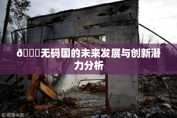 🔞无码国的未来发展与创新潜力分析