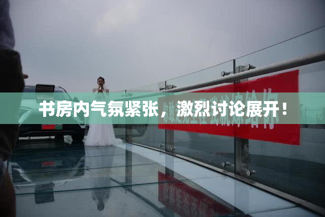 书房内气氛紧张，激烈讨论展开！