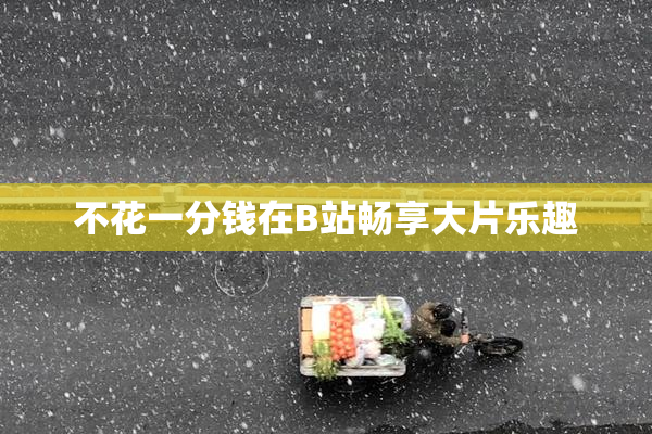 不花一分钱在B站畅享大片乐趣