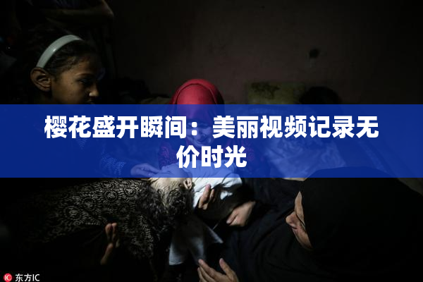 樱花盛开瞬间：美丽视频记录无价时光