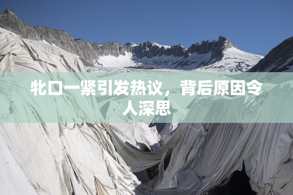 牝口一紧引发热议，背后原因令人深思