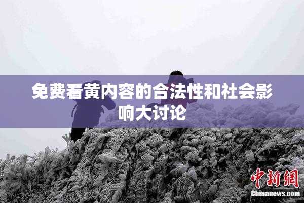 免费看黄内容的合法性和社会影响大讨论