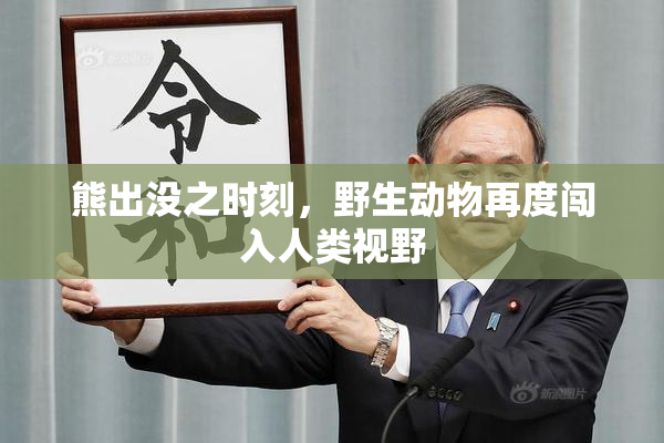 熊出没之时刻，野生动物再度闯入人类视野