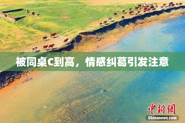 被同桌C到高，情感纠葛引发注意