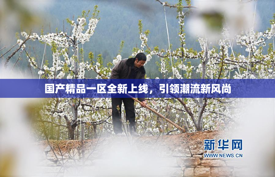 国产精品一区全新上线，引领潮流新风尚