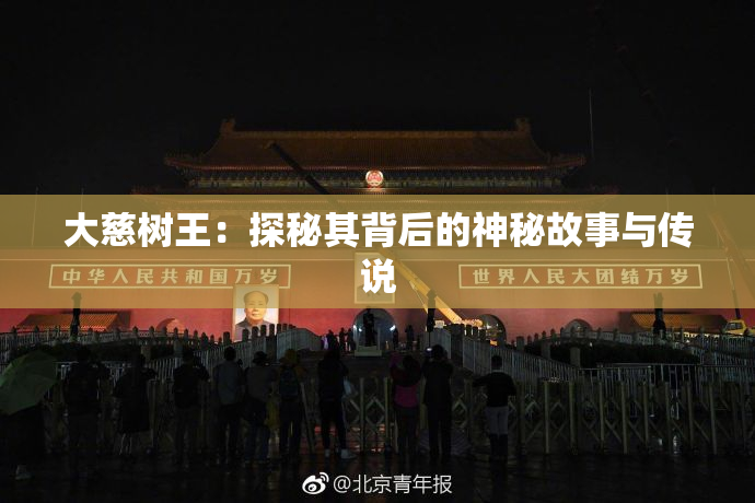 大慈树王：探秘其背后的神秘故事与传说