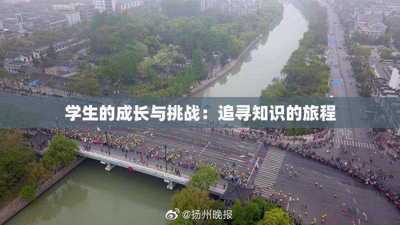 学生的成长与挑战：追寻知识的旅程