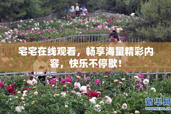 宅宅在线观看，畅享海量精彩内容，快乐不停歇！