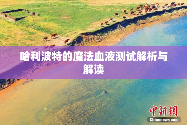 哈利波特的魔法血液测试解析与解读