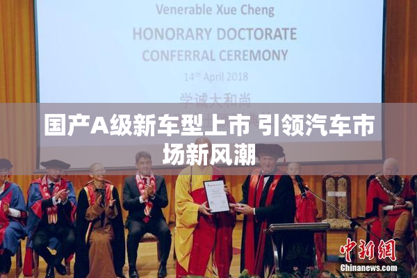 国产A级新车型上市 引领汽车市场新风潮