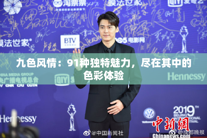 九色风情：91种独特魅力，尽在其中的色彩体验