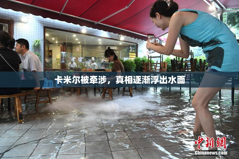 卡米尔被牵涉，真相逐渐浮出水面