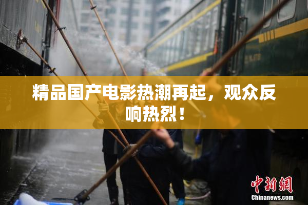 精品国产电影热潮再起，观众反响热烈！