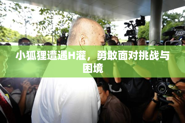 小狐狸遭遇H灌，勇敢面对挑战与困境
