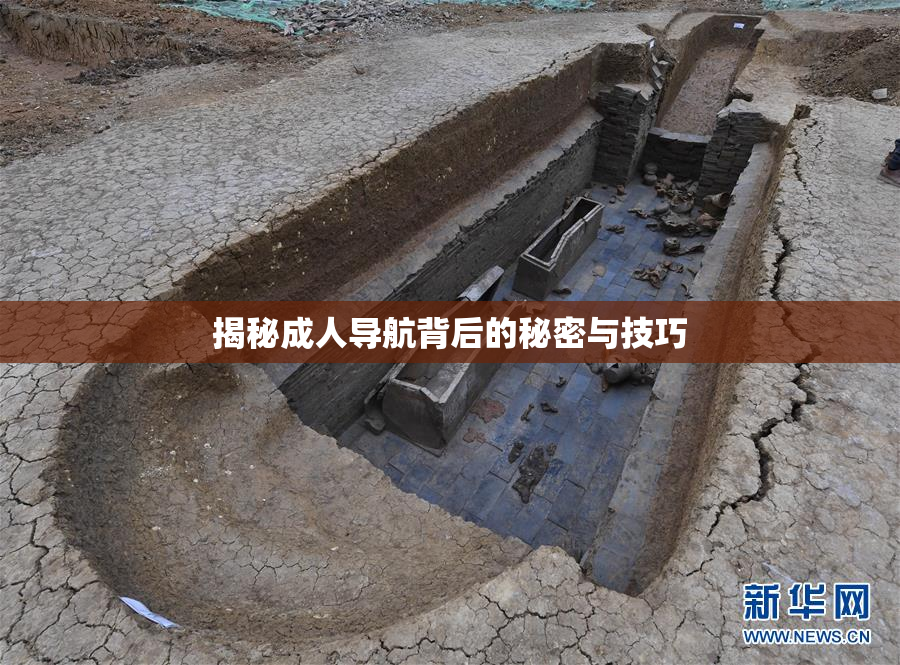 揭秘成人导航背后的秘密与技巧