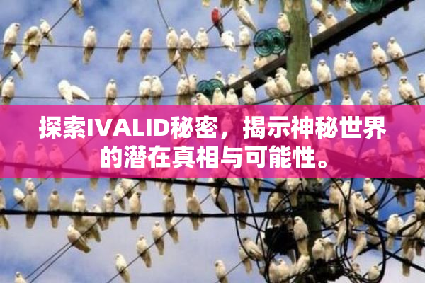 探索IVALID秘密，揭示神秘世界的潜在真相与可能性。