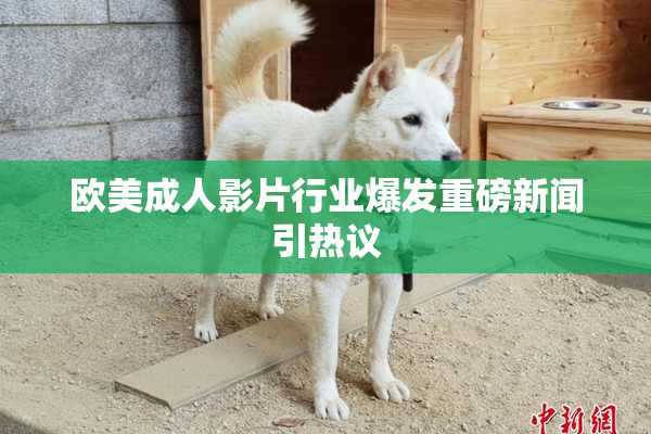 欧美成人影片行业爆发重磅新闻引热议