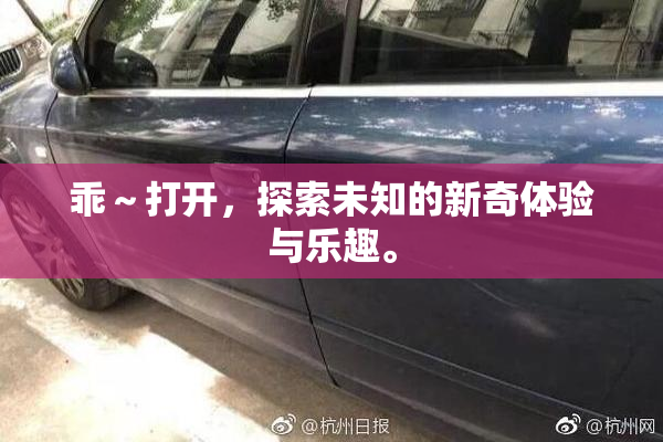 乖～打开，探索未知的新奇体验与乐趣。