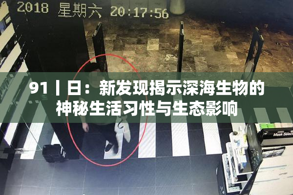 91丨日：新发现揭示深海生物的神秘生活习性与生态影响