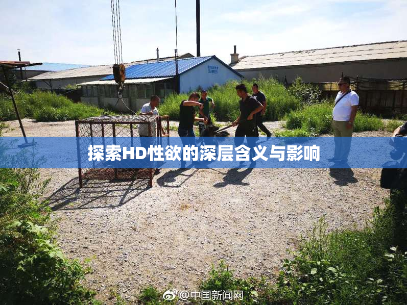 探索HD性欲的深层含义与影响