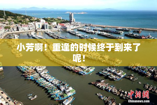 小芳啊！重逢的时候终于到来了呢！