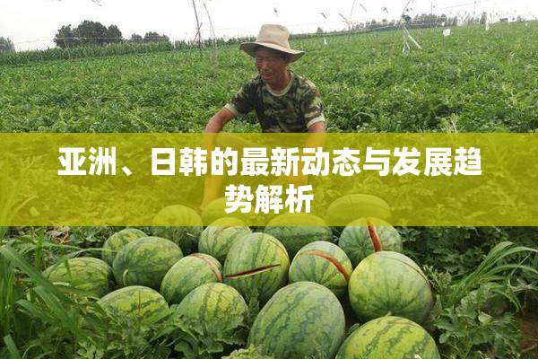 亚洲、日韩的最新动态与发展趋势解析