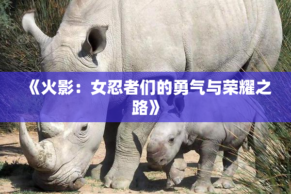《火影：女忍者们的勇气与荣耀之路》