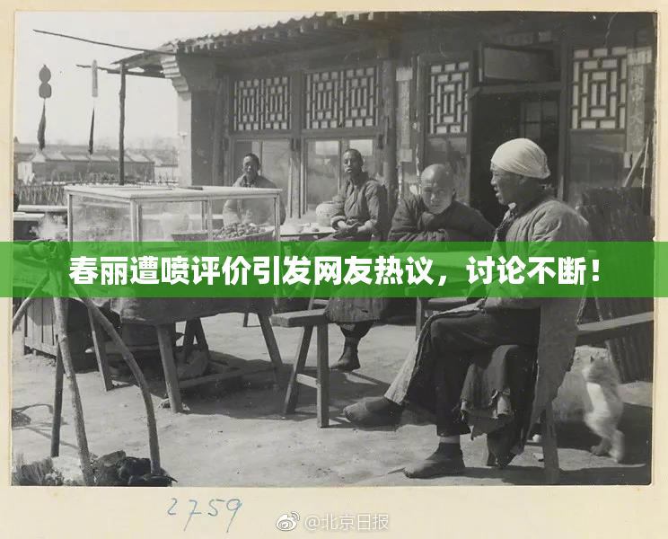 春丽遭喷评价引发网友热议，讨论不断！