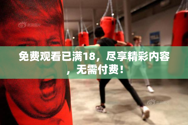 免费观看已满18，尽享精彩内容，无需付费！