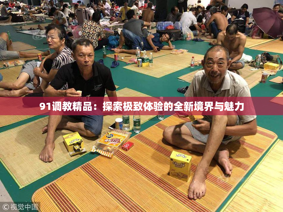 91调教精品：探索极致体验的全新境界与魅力
