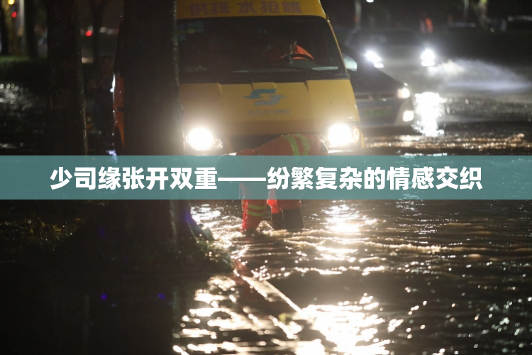 少司缘张开双重——纷繁复杂的情感交织
