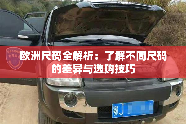 欧洲尺码全解析：了解不同尺码的差异与选购技巧