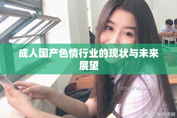 成人国产色情行业的现状与未来展望