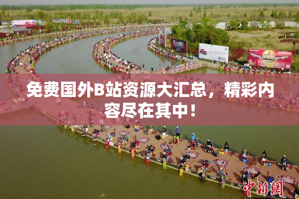 免费国外B站资源大汇总，精彩内容尽在其中！