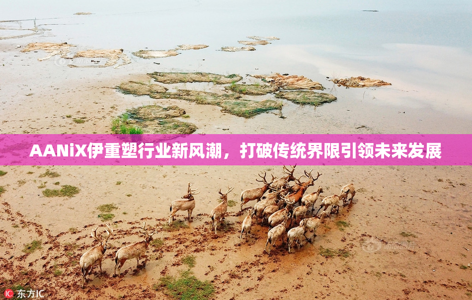 AANiX伊重塑行业新风潮，打破传统界限引领未来发展